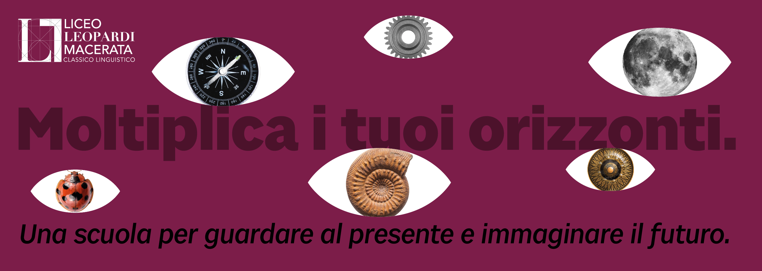 Scegli il tuo percorso: Liceo Linguistico - Liceo Statale G. Leopardi Macerata